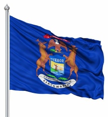 New York United States of America Flag Site
